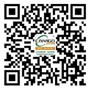长沙彩艺光电科技有限公司,长沙光电科技,光电产品生产企业,LED显示屏销售,双色显示屏生产