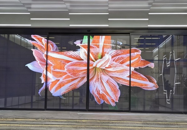 湖南彩艺光电科技有限公司,长沙光电科技,光电产品生产企业,LED显示屏销售,双色显示屏生产